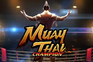 Muay Thai Champion
