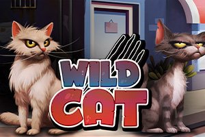 Wild Cat