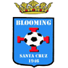 Blooming Santa Cruz