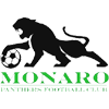 Monaro Panthers FC