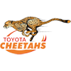 Cheetahs