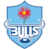 Blue Bulls