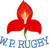Stormers XXIII